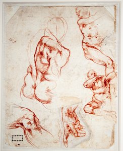 研究上帝之手（创造亚当） 作者 米开朗基罗（Michelangelo Buonarroti）